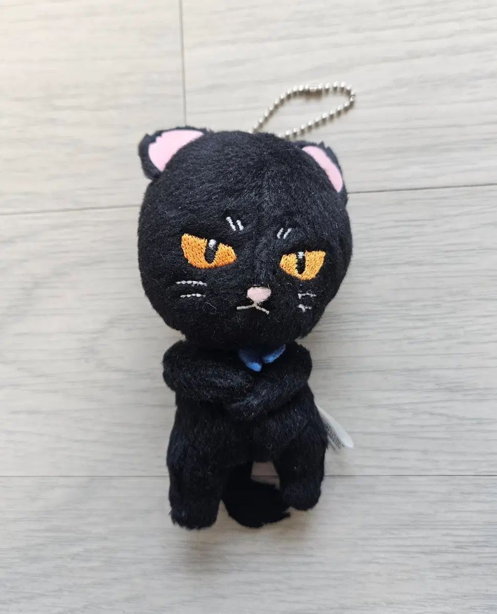 タレントグッズ 銀魂 桂 猫 ぬい