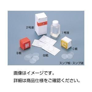 ds-（まとめ）スンプ台紙 （50枚）〔×10セット〕 9,258円