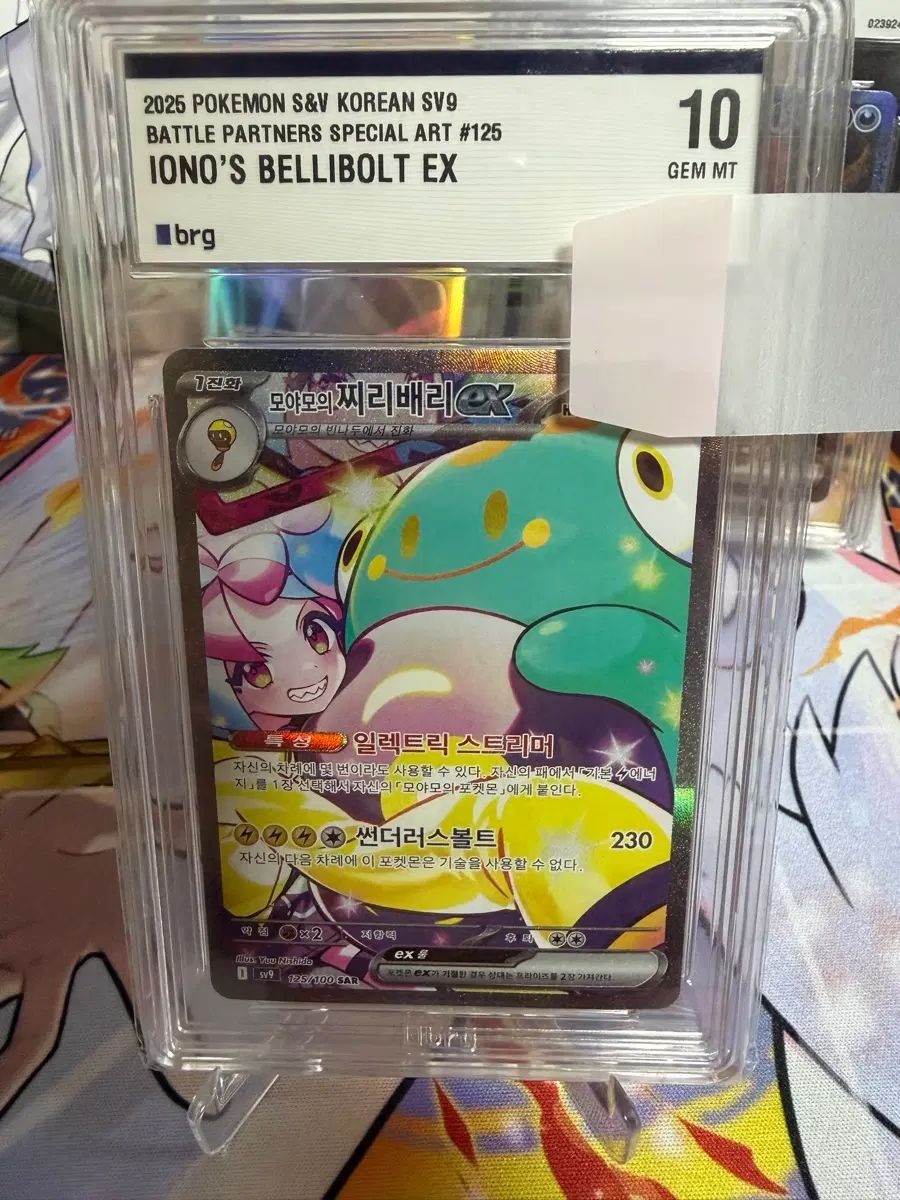 ウールヤモのチリベリー brg10 12,084円
