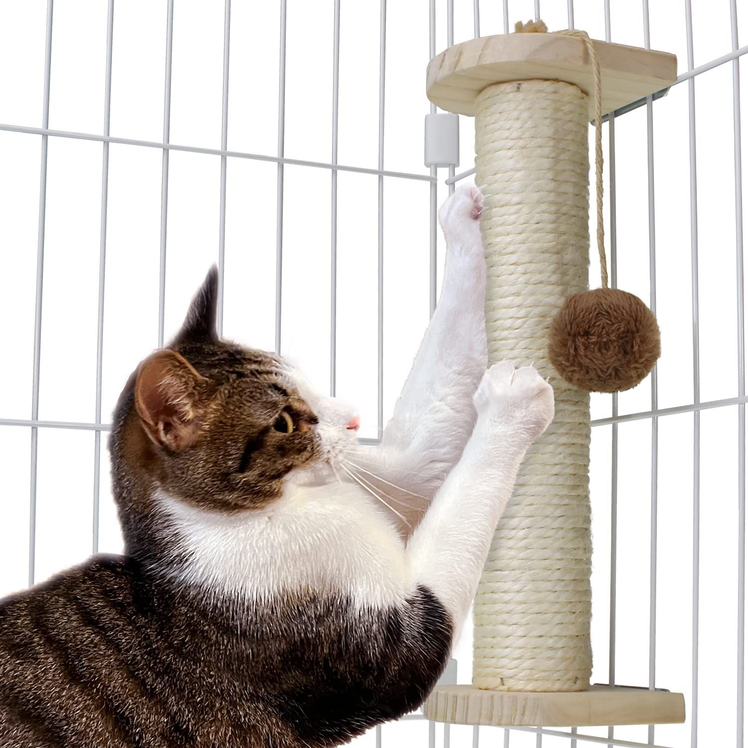 【猫健康管理士監修】 猫 爪研ぎ ケージ用 おもちゃ 付き ケージ取り付け 爪とぎ (本体フルセット) 1