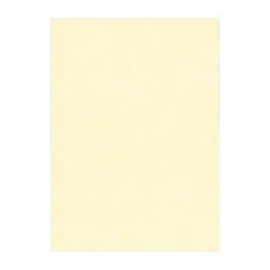 ds-（まとめ） 文運堂 ニューカラーR 四ツ切 横392×縦542mm 4NCR-112 うすクリーム 100枚入 〔×2セット〕