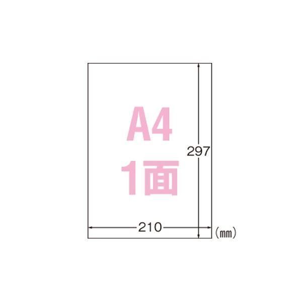 ds-（まとめ） エーワン 屋外でも使えるサインラベルシール ツヤ消しフィルム・ホワイト 31031 10枚入 〔×3セット〕