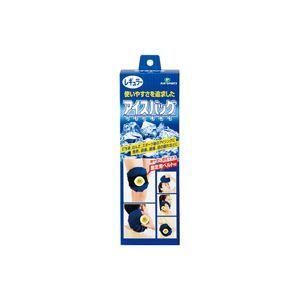 ds-（まとめ）ピップフジモト アイスバッグ PS161 レギュラー〔×3セット〕