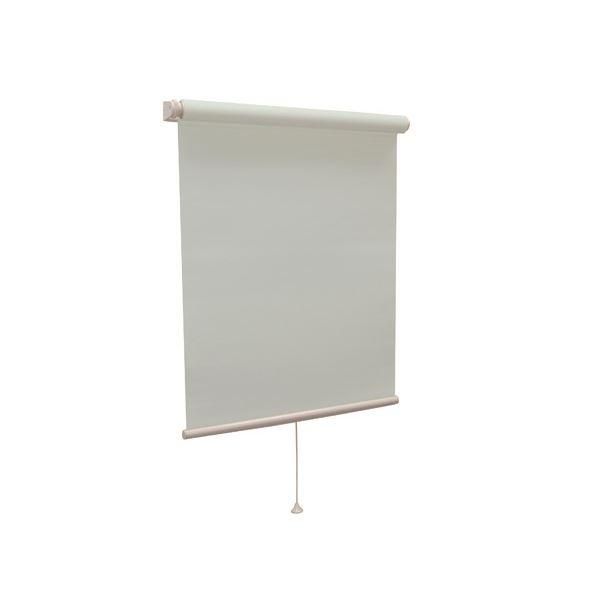 ds-モダン ロールスクリーン 〔遮光2級防炎 135cm×220cm ブルー〕 日本製 巻取りスピード調整機能付き 『ティオリオ』 13,738円