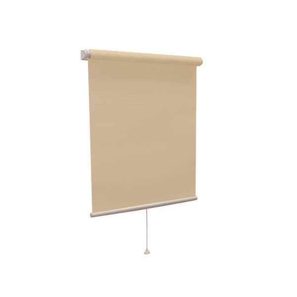 ds-モダン ロールスクリーン 〔遮光2級防炎 60cm×180cm ベージュ〕 日本製 巻取りスピード調整機能付き『ティオリオ』