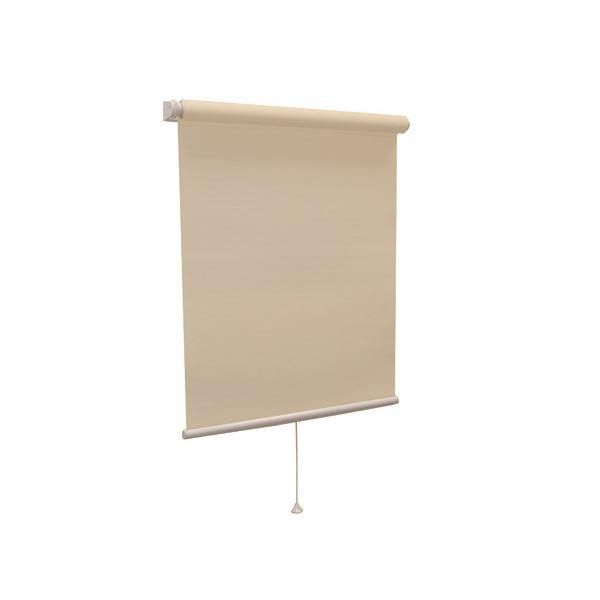 ds-モダン ロールスクリーン 〔遮光2級 90cm×220cm アイボリー〕 日本製 巻取りスピード調整機能付き 『ティオリオ』 11,404円