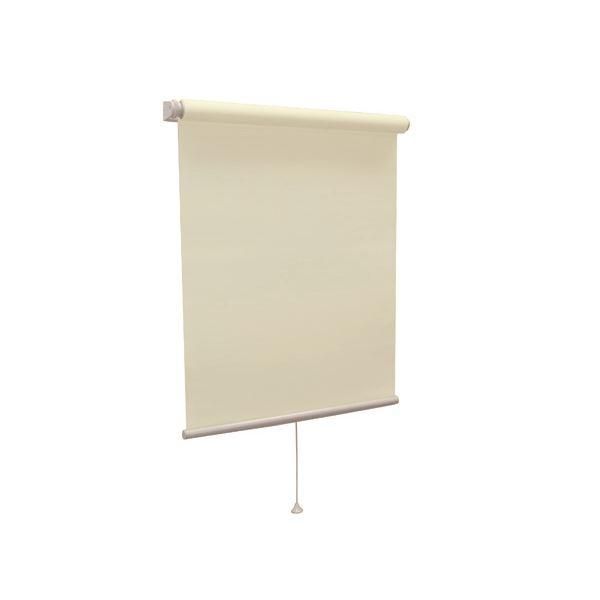 ds-モダン ロールスクリーン 〔無地防炎 135cm×220cm ペールグリーン〕 日本製 巻取りスピード調整機能付き 『ティオリオ』