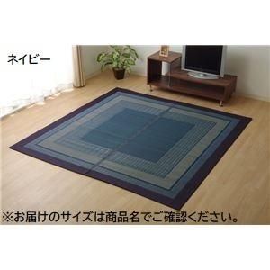 ds-モダン い草 ラグマット/絨毯 〔ネイビー 約191cm×300cm〕 日本製 抗菌 防臭 自然素材 モダン 調湿 空気清浄効果