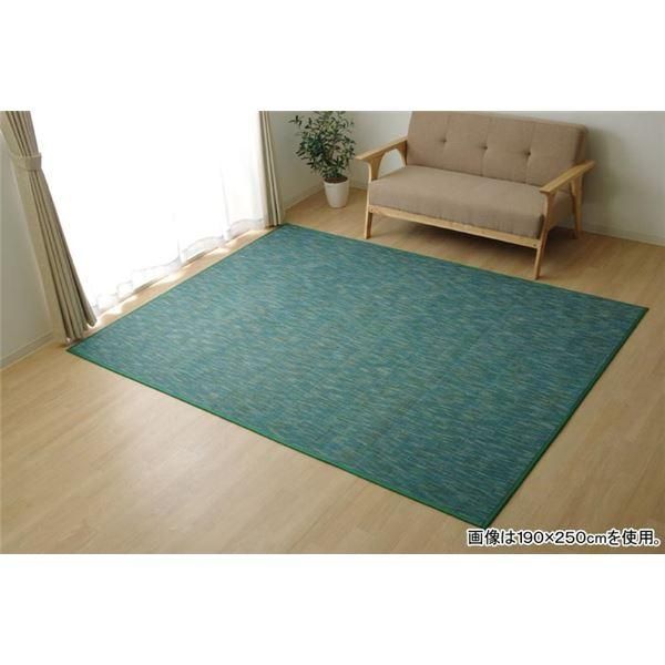 ds-バンブー ラグマット/絨毯 〔グリーン 約190×300cm〕 竹製 無地 抗菌作用 高耐久性 〔リビング〕