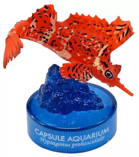 【中古】トレーディングフィギュア 5.アツモリウオ(レッド) 「カプセルアクアリウム 日本水族館立体生物図録 第4巻」 6,377円