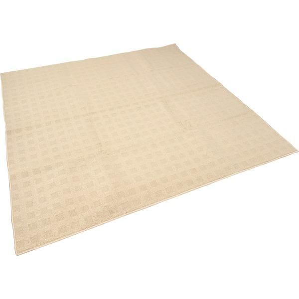 ds-カーペット ラグ 平織 レベルループ / 約5.1畳 240×330cm ベージュ クロス 九装