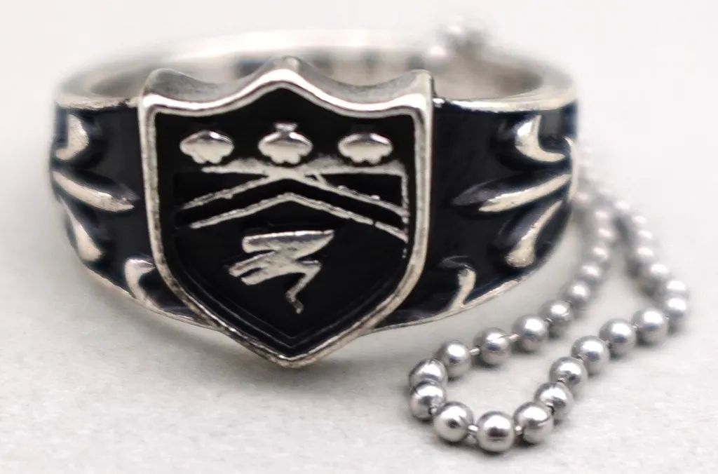[Used] Accessory (non-metallic) Arashi's Ring Bongoreling MASTERELIVE COLLECTION “Ichiban Kuji Tutor Hitman REBORN! “Ring Scramble” F Prize