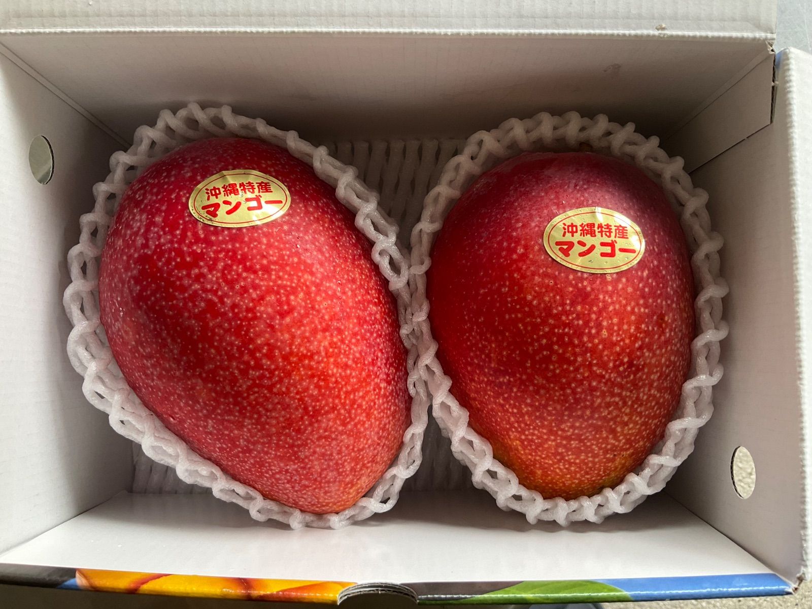 沖縄産アーウィンマンゴー(2.2kg)クール便発送 食品 沖縄産アーウィン
