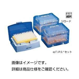 ds-（まとめ）エッペンスタンダードチップ 100～5000 入数：100本×5袋〔×5セット〕