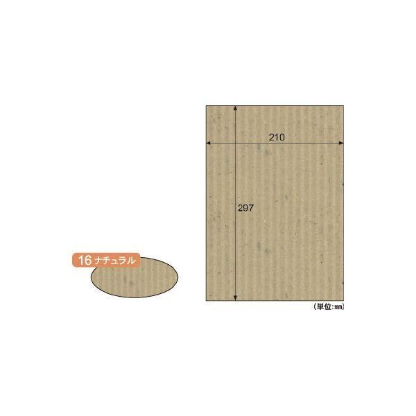 ds-（まとめ）リップルボード薄口A4 ナチュラル〔×30セット〕
