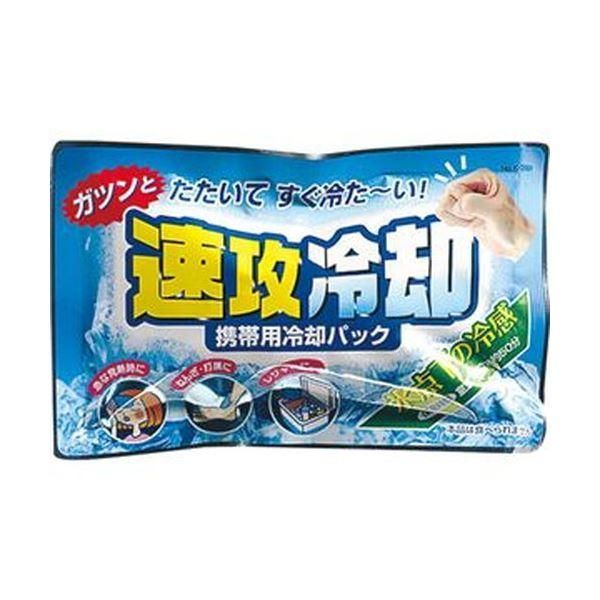 ds-（まとめ）紀陽除虫菊 携帯用冷却パック 速攻冷却K-2001 1セット（10個）〔×10セット〕