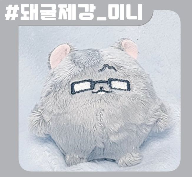 돼굴제강 ミニ 未開封 靴 出品 26,835円