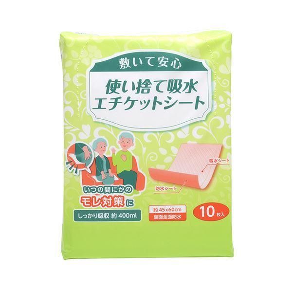 ds-（まとめ）ストリックスデザイン使い捨て吸水エチケットシート SK-001 1パック（10枚）〔×10セット〕