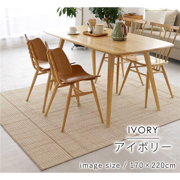 ds-ラグマット/絨毯 〔ウッド 約170×220cm アイボリー〕 洗える 軽量 ダイニングラグ スミノエ 〔リビング プレゼント〕