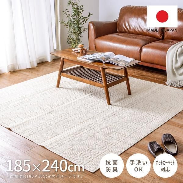 ds-ラグマット 絨毯 約185×240cm ソリッド 洗える 綿100％ 抗菌 防臭 ホットカーペット可 滑りにくい 日本製 タフトラグ リビング 13,369円