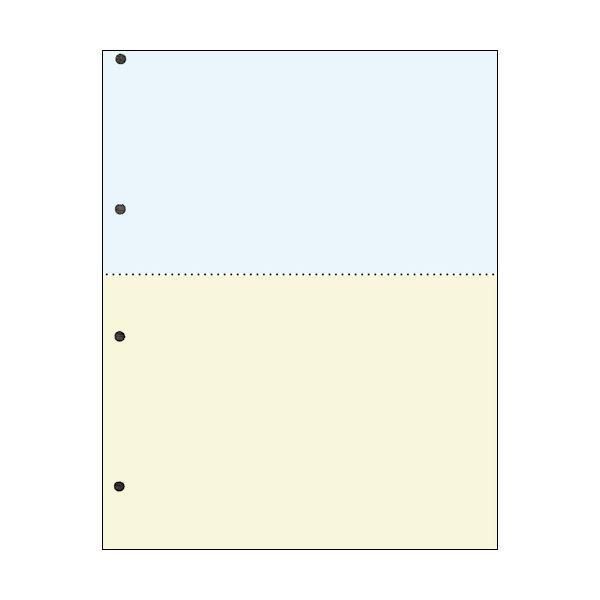 ds-TANOSEE 汎用マルチタイププリンタ帳票 カラー用紙 A4 2分割 4穴 1箱（2500枚：500枚×5冊） 12,323円