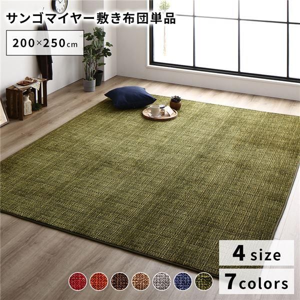 ds-こたつ敷き布団/ラグマット 〔約200×250cm グリーン〕 防滑加工 ホットカーペット対応 マイクロファイバー サンゴマイヤー リビング