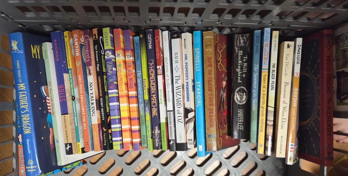 英語 洋書