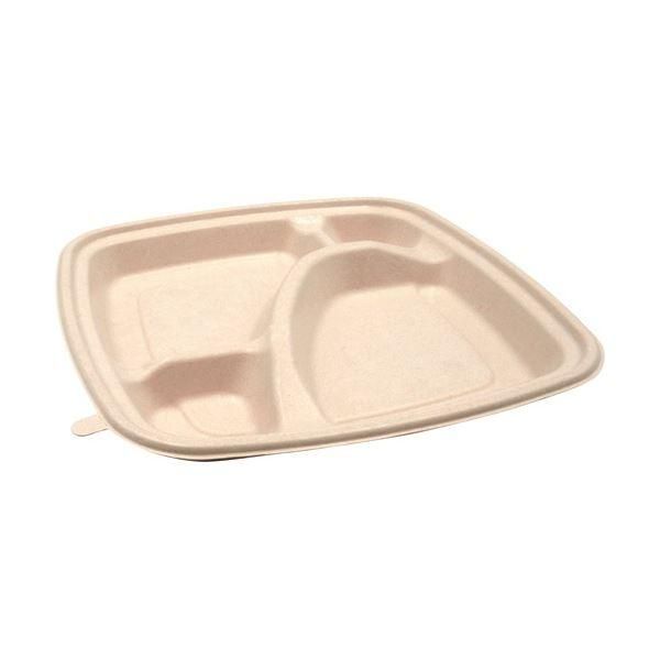 ds-(まとめ) パックスタイル BB竹バガス弁当 N23-23A ラミ 227×227×高さ25mm 1パック(50枚) 〔×3セット〕