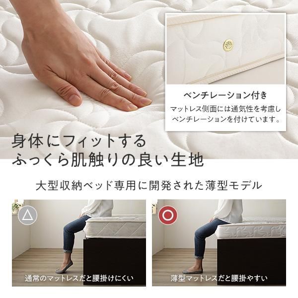 ds-〔組立設置付き〕 収納 ベッド シングル 国産薄型ポケットコイルマットレス付き ブラウン ABB 引き出し 棚付き 宮付き 日本製