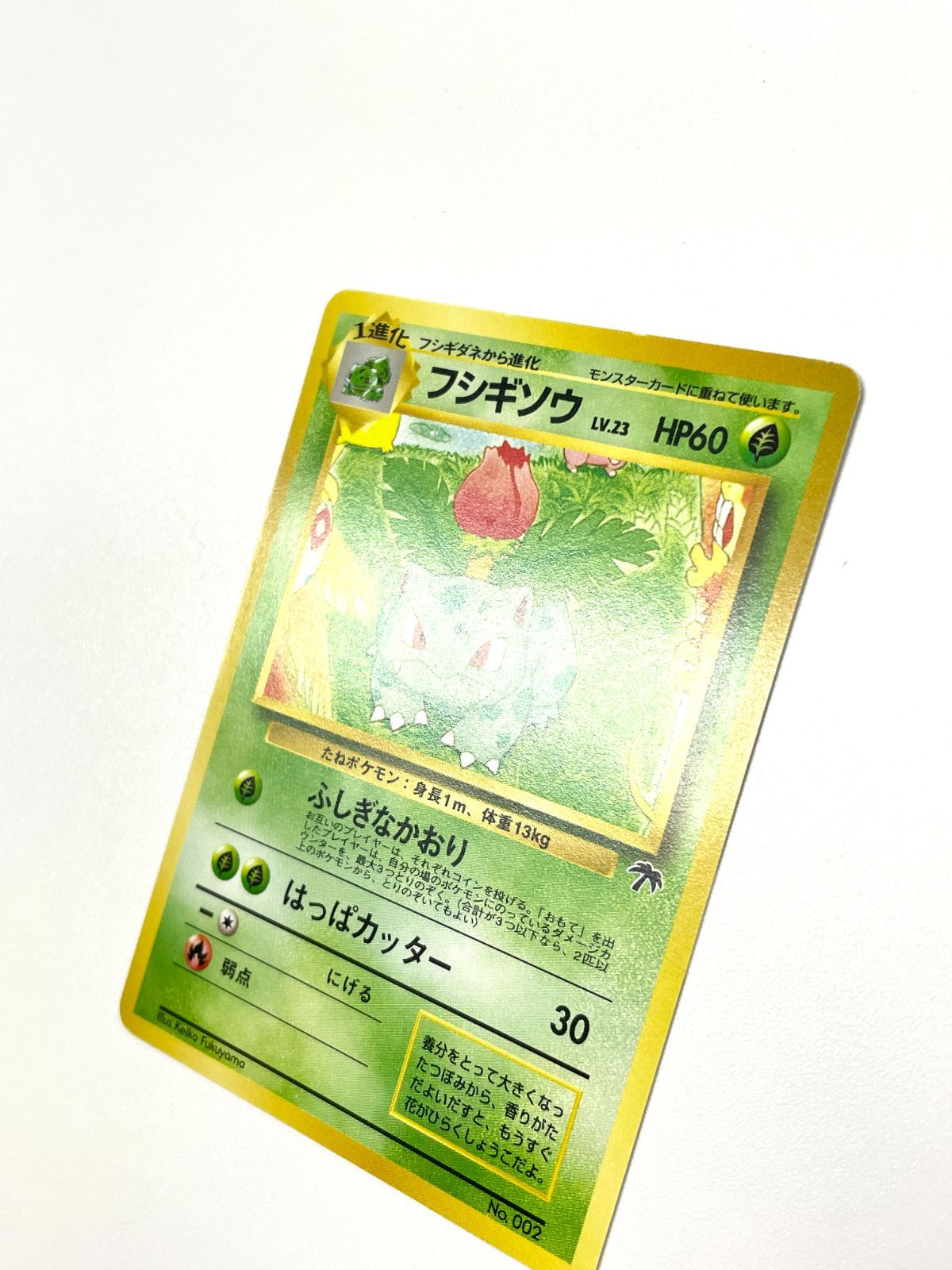 ポケモンカード 1999 フシギソウ サザンアイランド プロモ 旧裏 No
