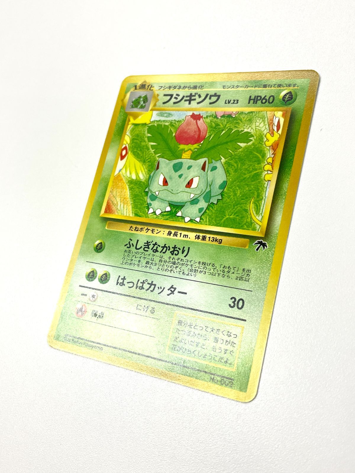 ポケモンカード サザンアイランド　フシギソウ他 ポケモンカード 1999 フシギソウ サザンアイランド プロモ 旧裏 No