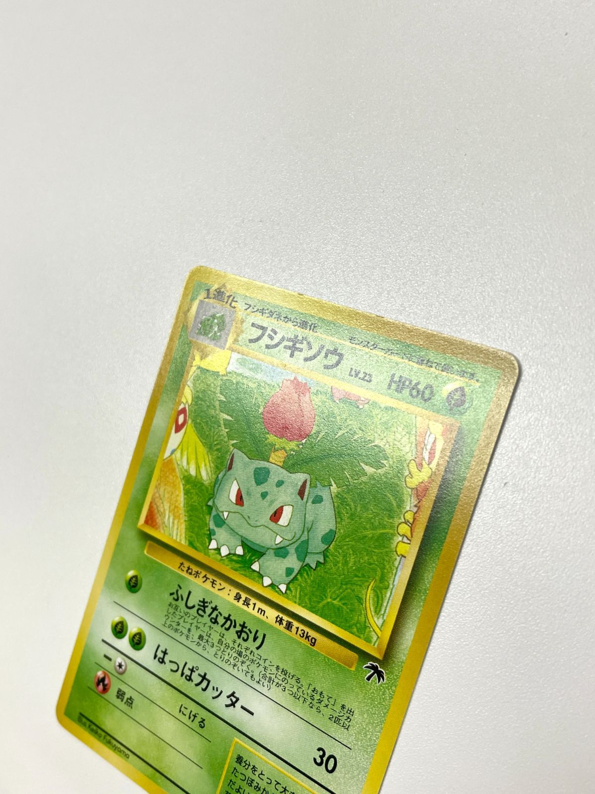 ポケモンカード 1999 フシギソウ サザンアイランド プロモ 旧裏 No