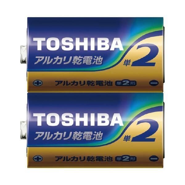 ds-東芝 東芝アルカリ乾電池 単2形 2本×50パック