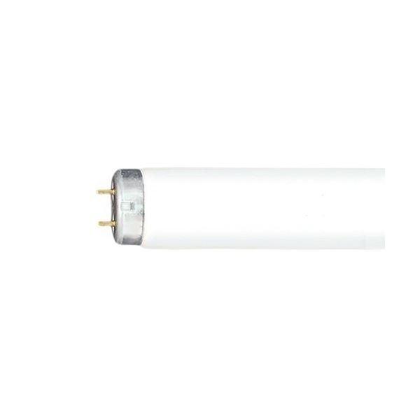 ds-パナソニック パルック蛍光灯直管スタータ形 40形 3波長形 昼光色 FL40SS・EX-D/37F3/4K-L 1パック(4本)