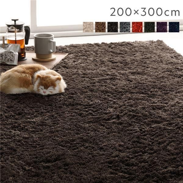 ds-ラグ マット 絨毯 約200×300cm 約4畳 ブラウン 長方形 洗える 滑り止め付 軽量 ホットカーペット可 通年使用可 折りたたみ可