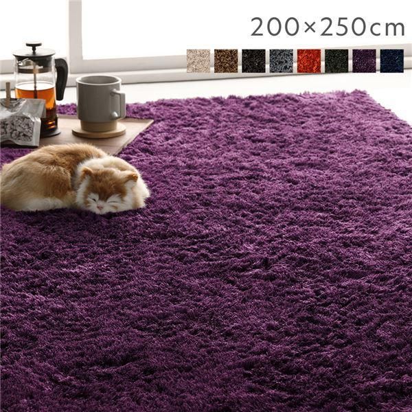 ds-ラグ マット 絨毯 約200×250cm 約3畳 パープル 長方形 洗える 滑り止め付 軽量 ホットカーペット可 通年使用可 折りたたみ可