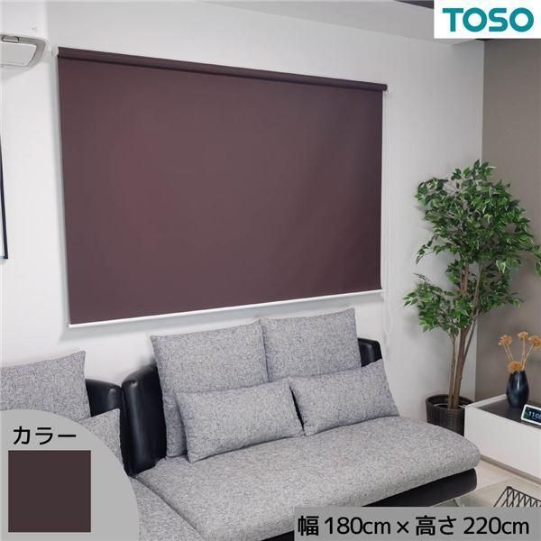 ds-窓にも間仕切にも活躍 採光プレーンロールスクリーン ブラウン 約幅180cm×高さ220cm