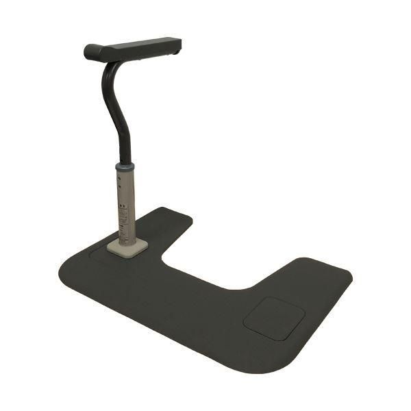 ds-パナソニックエイジフリー スムーディ (トイレ用) 片手すり XPN-L80833 1台