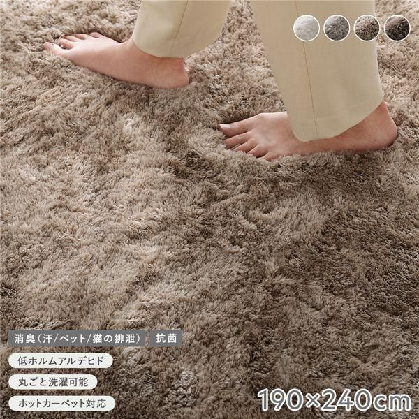 ds-高密度シャギーラグ 約190×240cm セピアベージュ 抗菌 消臭 洗える ホットカーペット 床暖房可 滑り止め付 オールシーズン ラグ