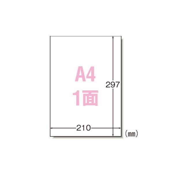 ds-エーワン ラベルシール〈プリンタ兼用〉 マット紙 ノーカットタイプ 31151 1000枚