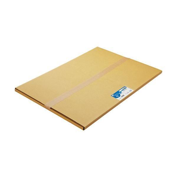 ds-（まとめ） TANOSEE 普通紙 A2カット 420×594mm 1箱（100枚） 〔×2セット〕