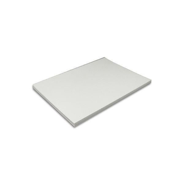 ds-王子製紙 ミラーコートプラチナ A3Y目256g 60036-26 1セット(500枚)