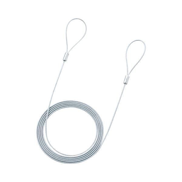 ds-(まとめ) サンワサプライ eセキュリティ ワイヤー2.2mm×2.0m SLE-11W-2 1本 〔×30セット〕