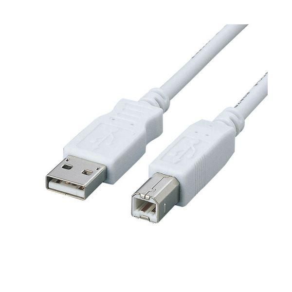 ds-(まとめ) エレコムフェライトコア内蔵USB2.0対応ケーブル (A)オス-(B)オス ホワイト 3.0m USB2-FS3 1本 〔×10セット〕