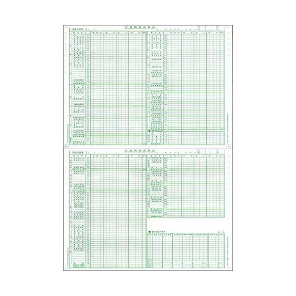 ds-東京ビジネス 合計残高試算表 (建設・科目印刷・消費税無) 平成18年会社法対応 CG1006KZU2 1冊(50セット) 〔×10セット〕