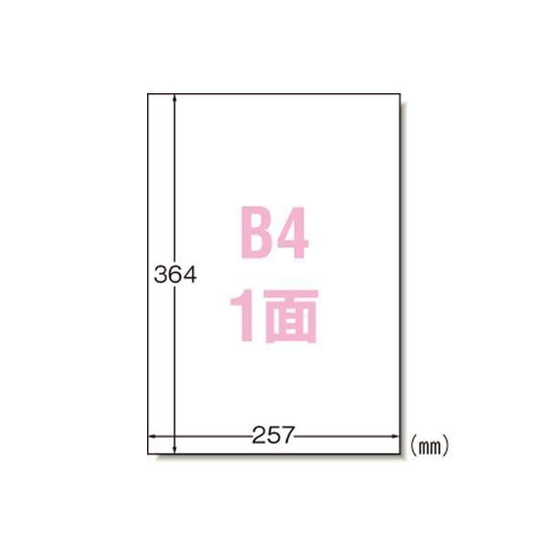 ds-PPCラベル B4 ノーカット 28208