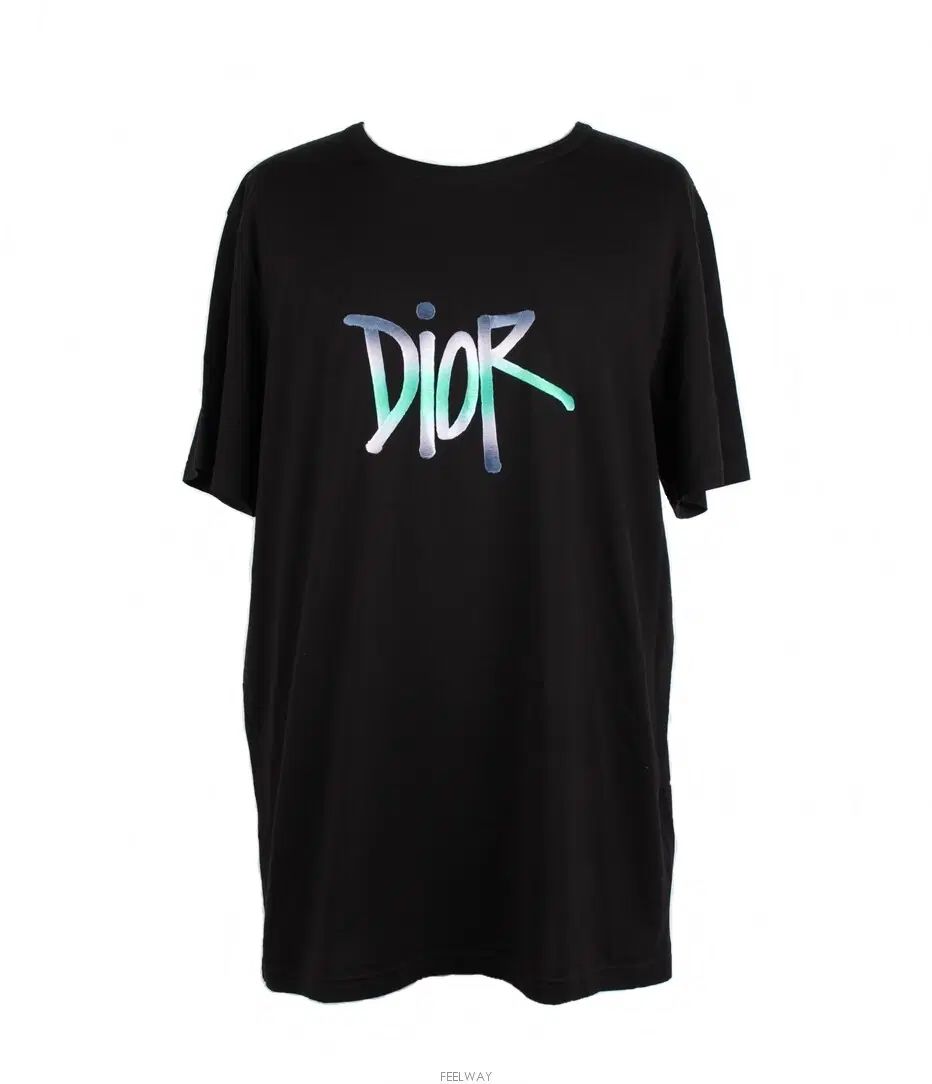 ディオール STUステューシー ロゴ 半袖 3XL