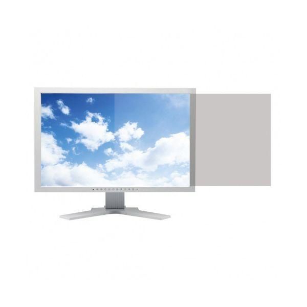 ds-サンワサプライ 液晶パソコンフィルター スタンダード 22.0型ワイド（16：10）用 CRT-ND90ST220WN 1枚