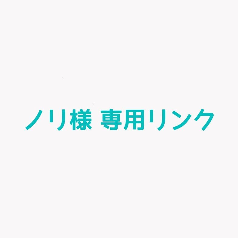 ノリ様 専用リンク オーダーピアス