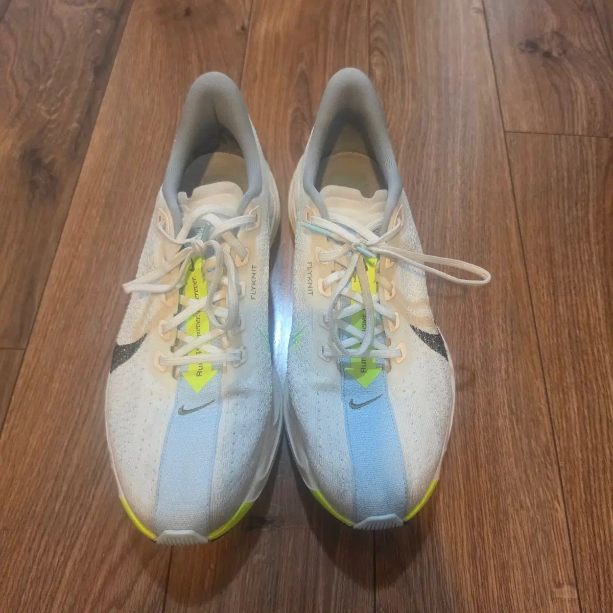 ナイキ ペガサス プラス ズームエックス NIKE pegasus plus zoomX サイズ US10